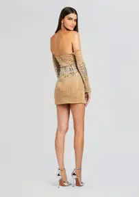 Briella Embellished Dress(Silver/Tannin,XXS)