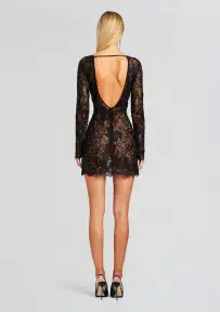 Kennedy Embellished Lace Dress(Black,XXS)