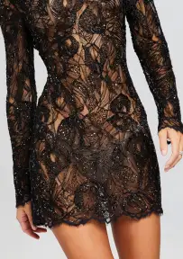 Kennedy Embellished Lace Dress(Black,XXS)