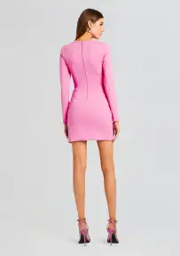 Ariel Long Sleeve Mini Dress(Pink,XS)