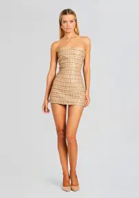 Rhya Embellished Leather Dress