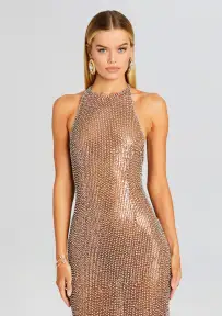 Haven Embellished Dress(Tannin/Silver,XXS)