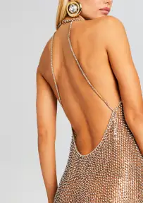 Haven Embellished Dress(Tannin/Silver,XXS)