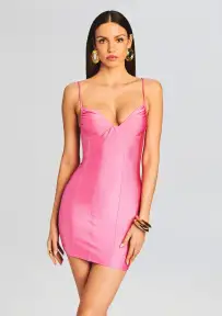 Eliana Lycra Mini Dress(Rose Blossom,XS)