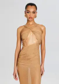 Liesel Embellished Dress(Tannin,XXS)