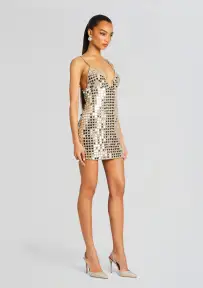 Airalyse Embellished Dress(Champagne Dust,XXS)