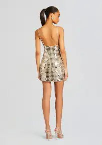 Airalyse Embellished Dress(Champagne Dust,XXS)