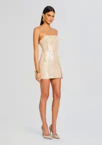 Heather Sequin Dress(Champagne,XXS)