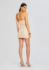 Heather Sequin Dress(Champagne,XXS)