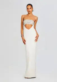 Swan Embellished Dress