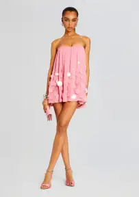 Sherry Embellished Dress