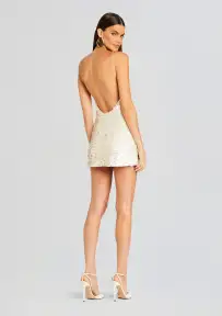 Eleanora Sequin Dress(Beige/White,XXS)