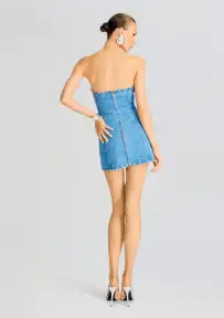 Jules Mini Dress(River,XXS)