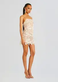 Jaala Sequin Lace Dress(Cream,XXS)