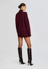 Dessa Chunky Knit Sweater Dress(Merlot,XXS)