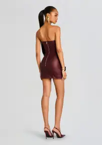 James Coated Mini Dress(Coated Port,XXS)