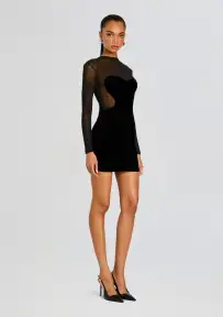 Delmer Velvet Dress(Black,XXS)