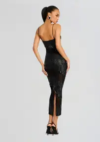 Carmine Embellished Dress(Black,XXS)