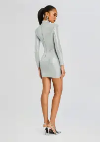 Aisling Embellished Dress(Metallic Dove/Silver,XXS)
