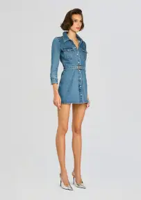 Wiley Denim Dress(Montana,XXS)
