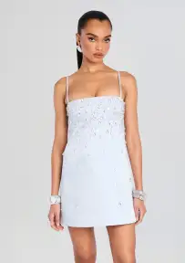 Cornelia Embellished Dress(Dove,XXS)
