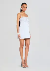 Cornelia Embellished Dress(Dove,XXS)
