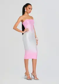 Laina Embellished Knit Dress(Pink Silver Ombre,XXS)