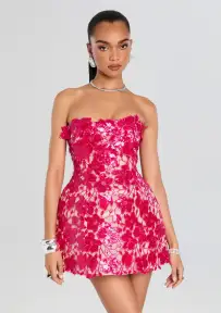 Alira Lace Dress(Cerise,XXS)