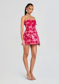 Alira Lace Dress(Cerise,XXS)