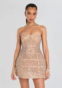 Kathleen Crystal Embellished Dress(Silver/Nude,XXS)