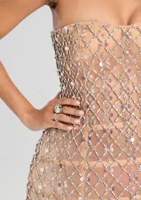 Kathleen Crystal Embellished Dress(Silver/Nude,XXS)