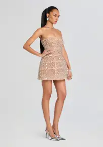 Kathleen Crystal Embellished Dress(Silver/Nude,XXS)
