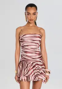 Shaniece Dress(Earl Rose Zebra,XXS)