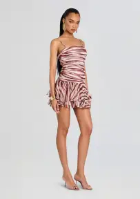 Shaniece Dress(Earl Rose Zebra,XXS)