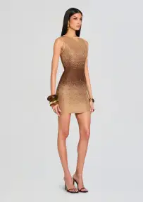 Kenda Embellished Knit Dress(Nude/Chestnut,XXS)