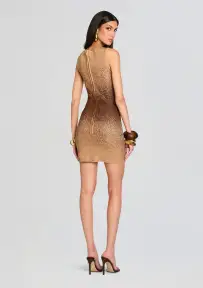 Kenda Embellished Knit Dress(Nude/Chestnut,XXS)