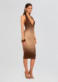Aviana Embellished Knit Dress(Nude/Chestnut,XXS)