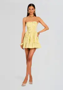 Fiza Short Dress