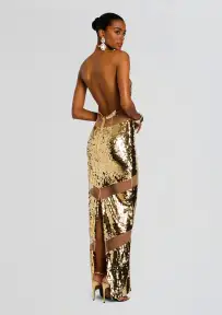 Kaeli Dress(Gold/Nude,XXS)