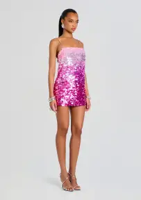 Eleanora Sequin Dress(Camellia Ombre,XXS)