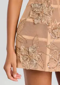 Katarina Dress(Nude/Gold,XXS)