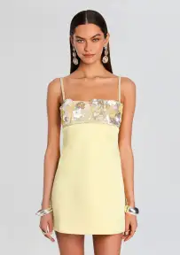 Lark Embroidered Dress(Yuzu,XXS)