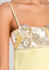 Lark Embroidered Dress(Yuzu,XXS)