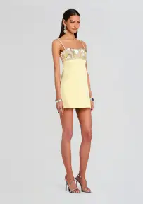 Lark Embroidered Dress(Yuzu,XXS)