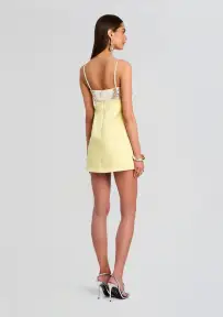 Lark Embroidered Dress(Yuzu,XXS)