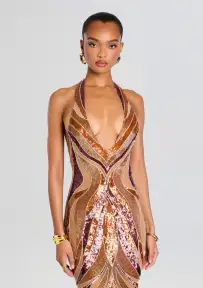 Emryn Embellished Dress(Multi,XXS)