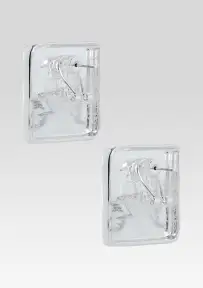 Nikki Crystal Earrings - Silver