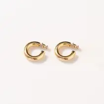 Faithy Jewels Everyday Hoop Earrings ~ 18K Gold Plated(OS)