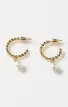 Faithy Jewels Katie Pearl Hoop ~ Gold/Pearl