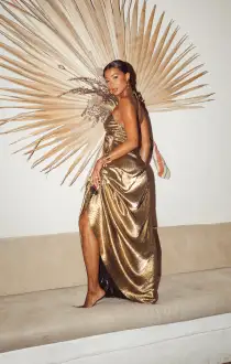 Paros Maxi Dress ~ Pleated Gold(XS)